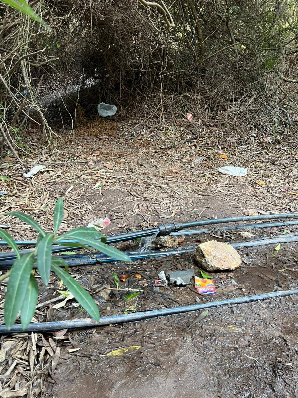 Sorry! Image not available at this time