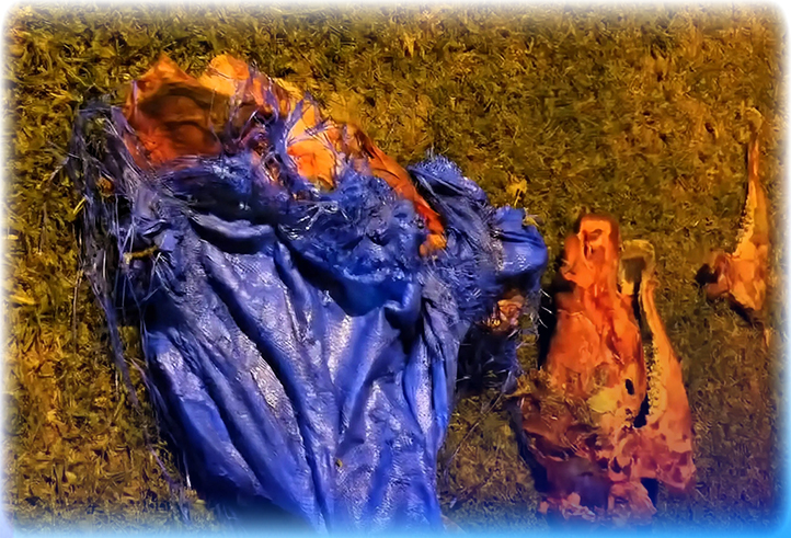 Sorry! Image not available at this time